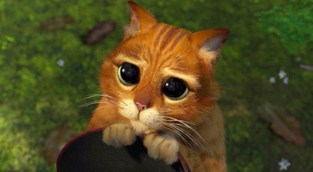 Gato de botas